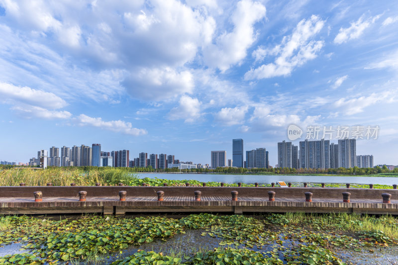 武汉江夏中央大公园风景