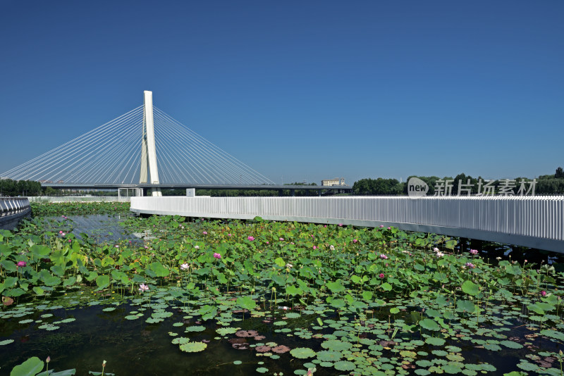 河北省石家庄市太平河