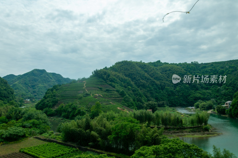 山中的自然风景