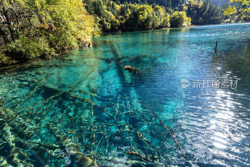 九寨沟五花海