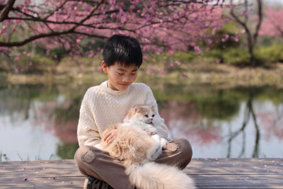 小男孩与宠物猫在梅花树下互动的温馨场景