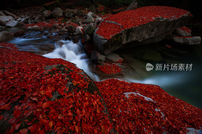 光雾山红叶