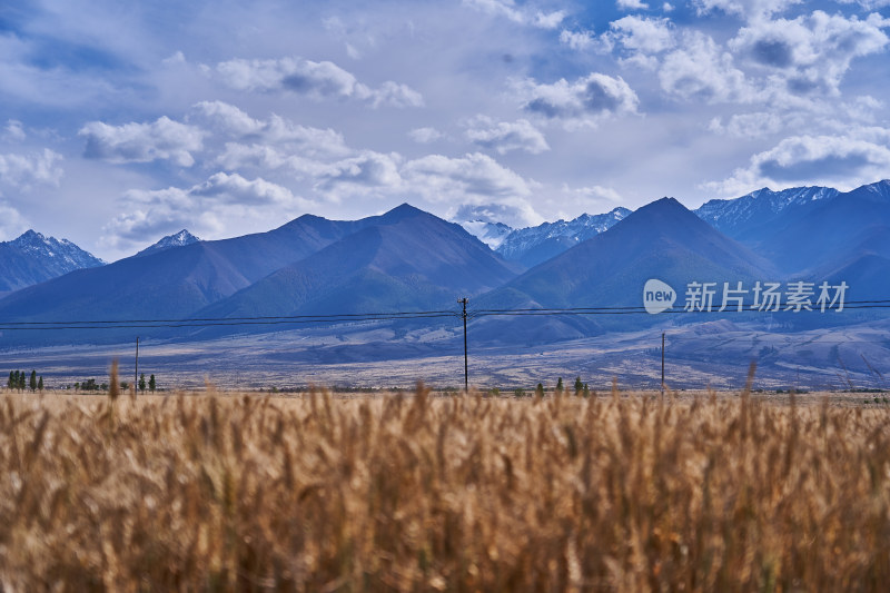 哈密天山秋色风光