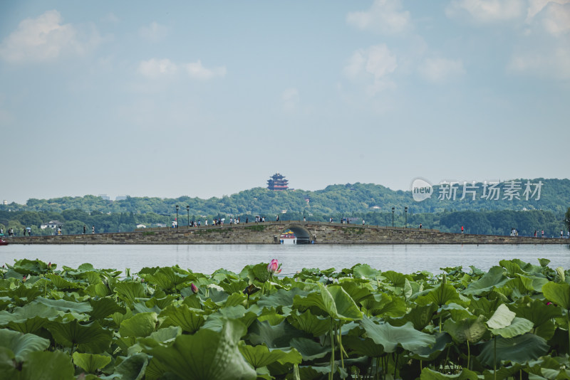 杭州西湖