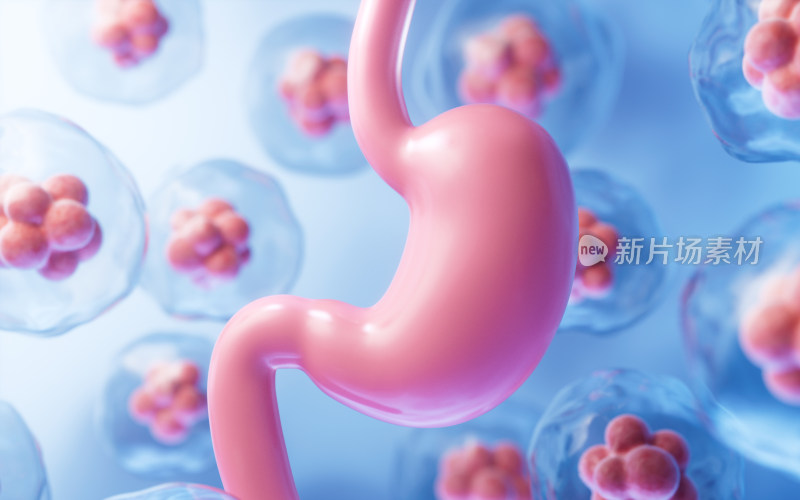 胃部消化系统医疗概念3D渲染
