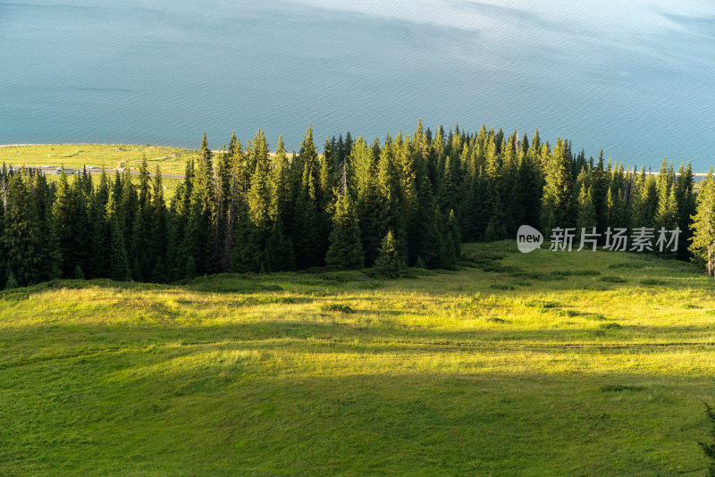 赛里木湖湖边茂盛森林草地的自然景观