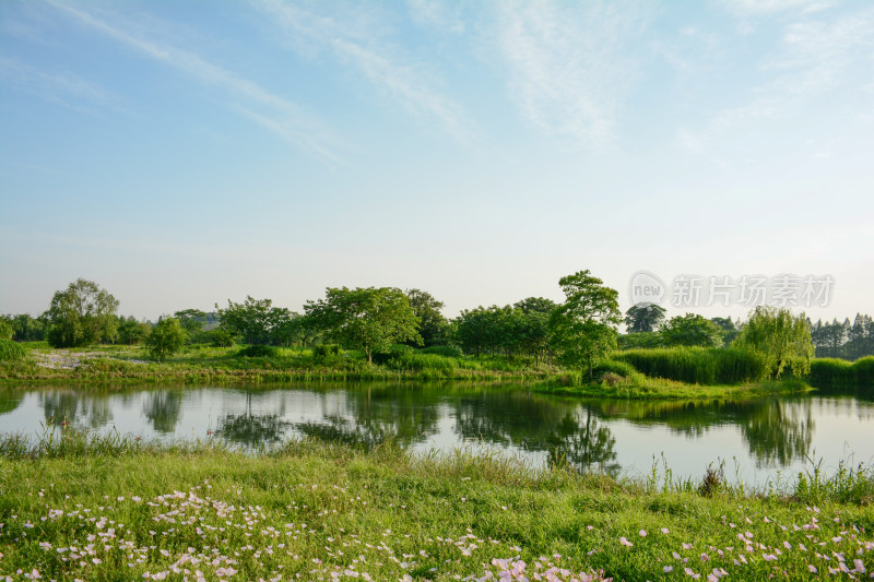 良渚遗址湿地公园风光美景