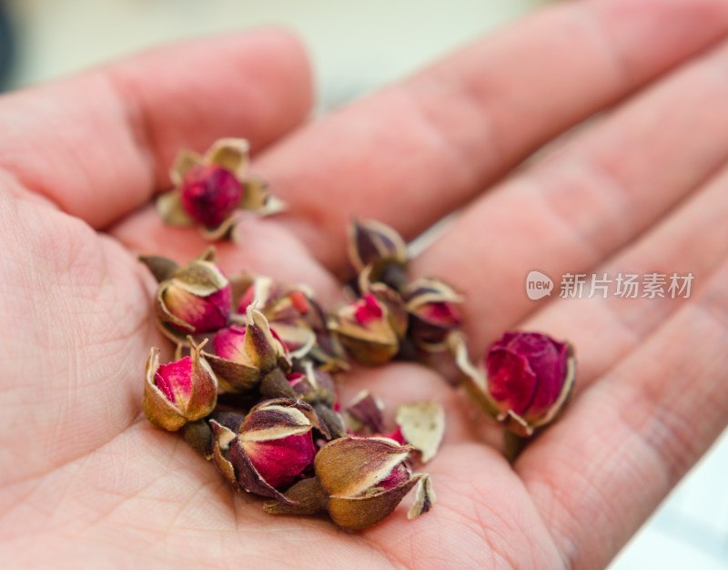 手中的玫瑰花茶特写