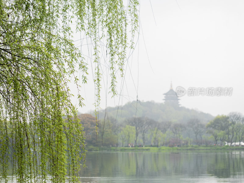 杭州西湖花港观鱼风景