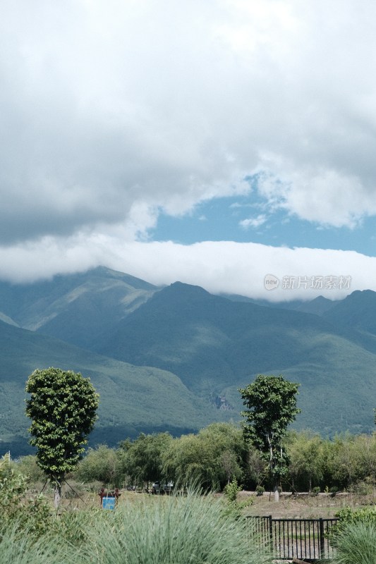 云雾缭绕的青山自然风光全景