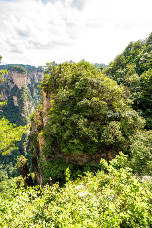 中国湖南张家界景区奇特山峰与茂密森林