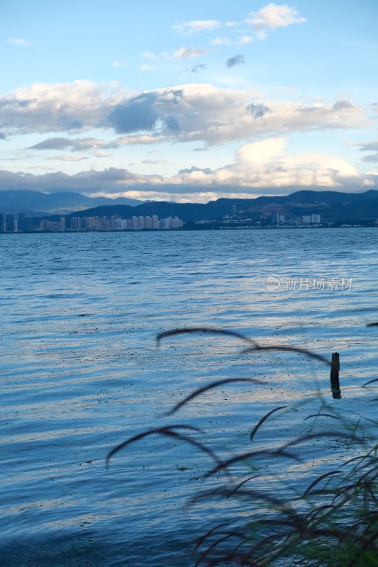 湖畔城市远景与自然风光