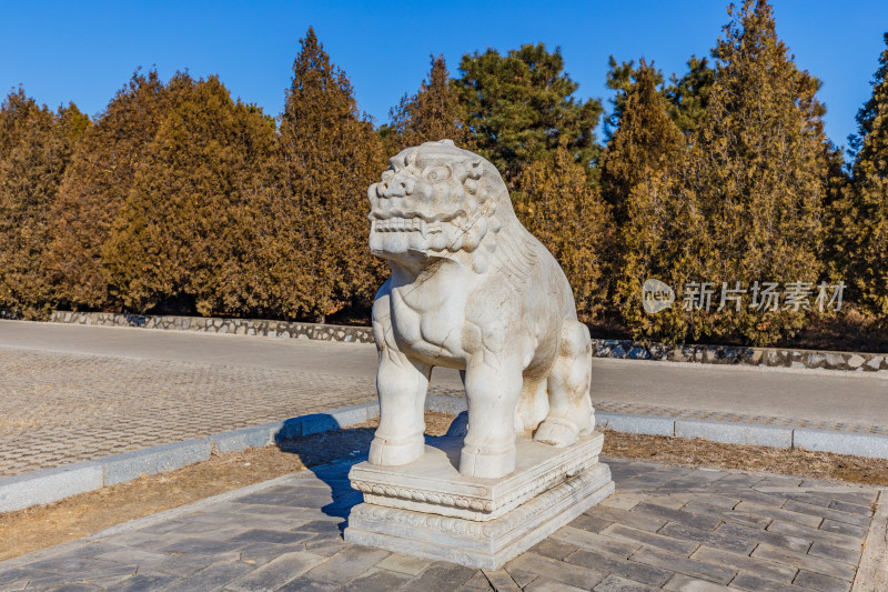 河北唐山市遵化清东陵石像生獬豸