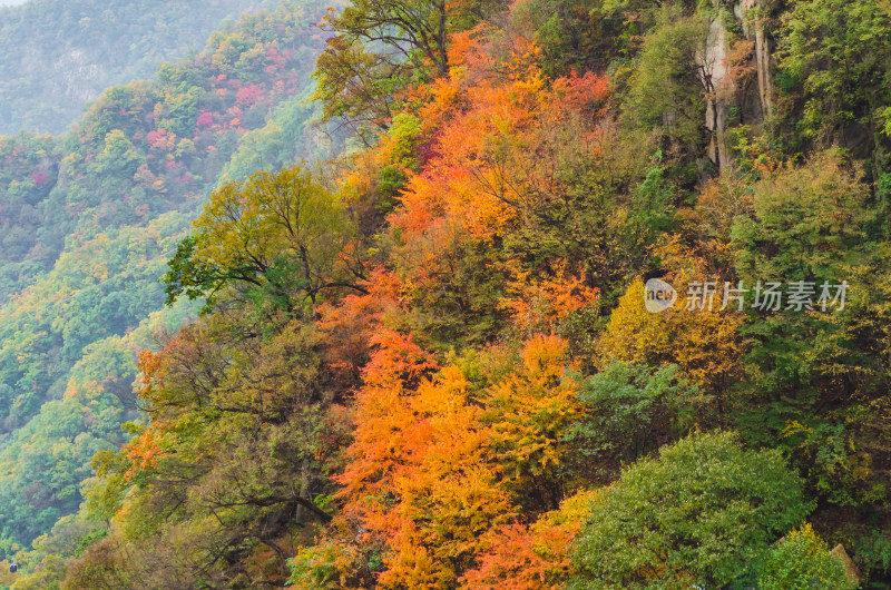 河南省洛阳白云山九龙潭秋天风景