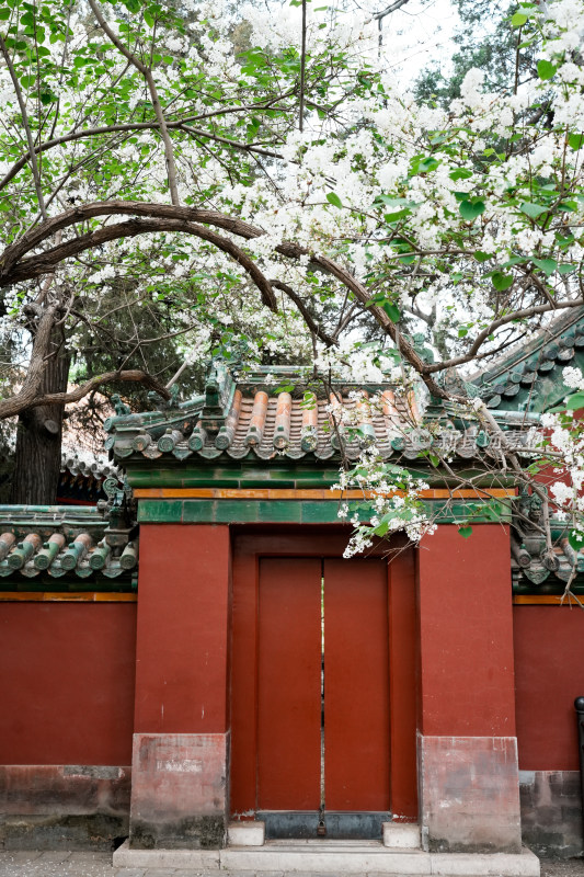 北京北海公园团城风景