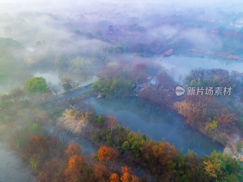 航拍下的西溪湿地晨雾及秋色风光