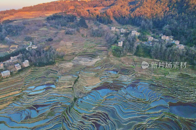 红河元阳梯田，灌水期，爱春蓝梯田