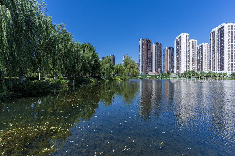 武汉武昌区内沙湖公园风景