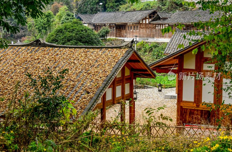 重庆酉阳：丁市镇农旅结合展新颜