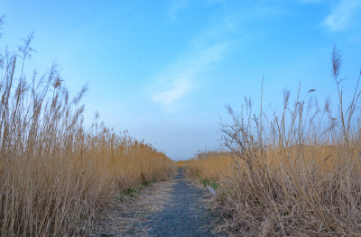 内蒙古包头赛罕塔拉草原生态园秋景步道