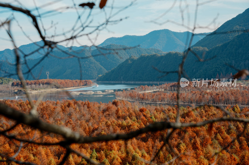 山林间湖泊美景与多彩树木相映成趣