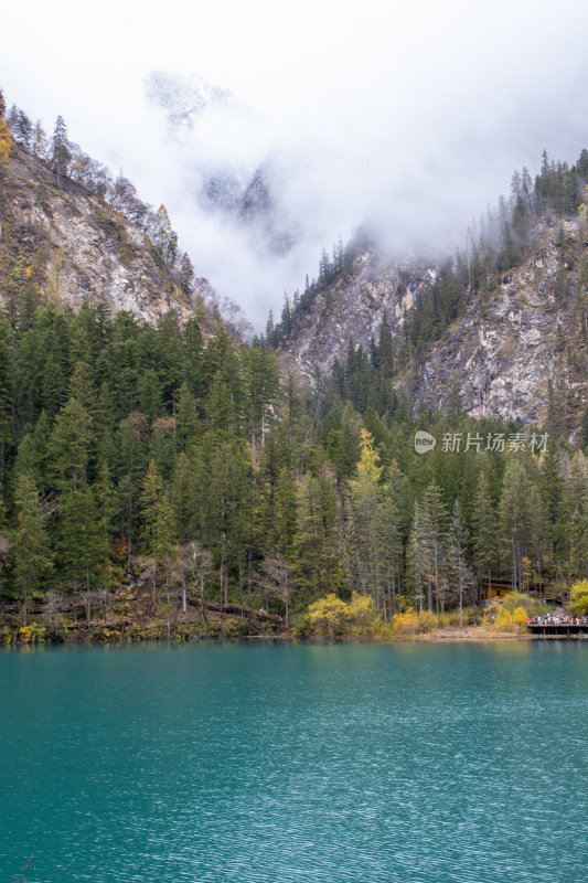 九寨沟秋色，箭竹海和秋景山林