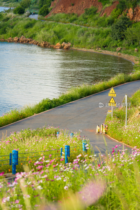 湖边开满鲜花的蜿蜒道路风景