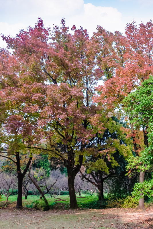 南京钟山风景名胜区明孝陵风景