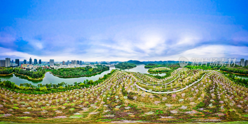 深圳平湖生态公园郊野花海湖泊全景