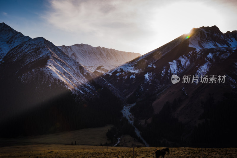 新疆夏塔牧场日落时分阳光下的雪山与草原