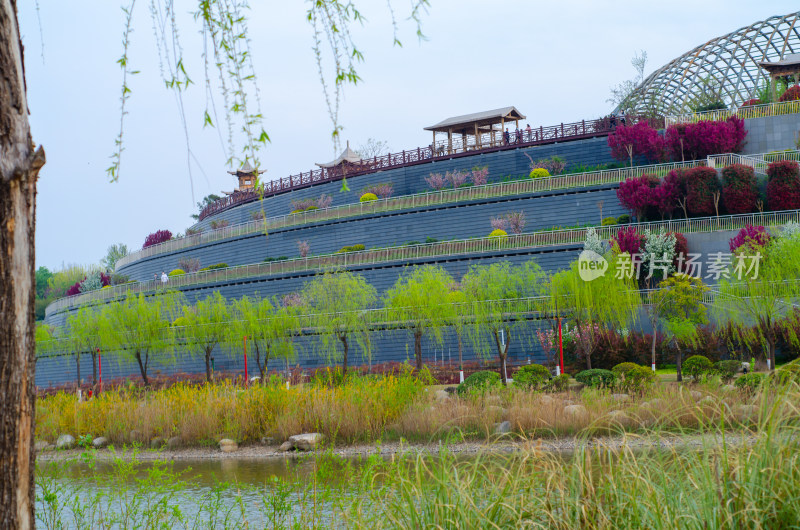 春天的渭南南湖公园风景