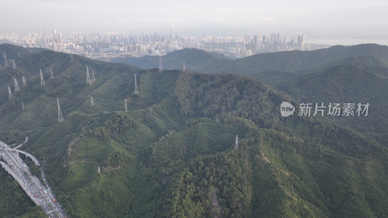 塘朗山 深圳 城市 航拍 森林 自然