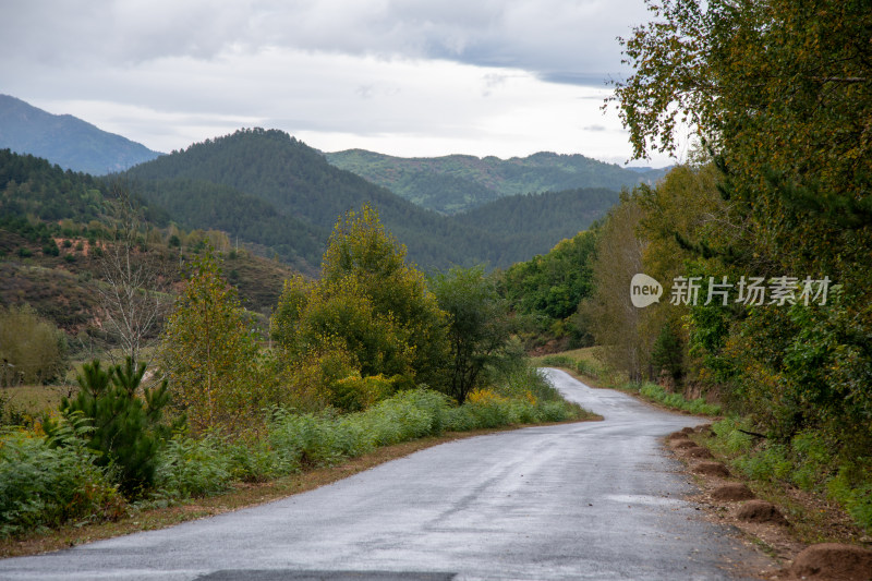 张家口草原公路林间公路