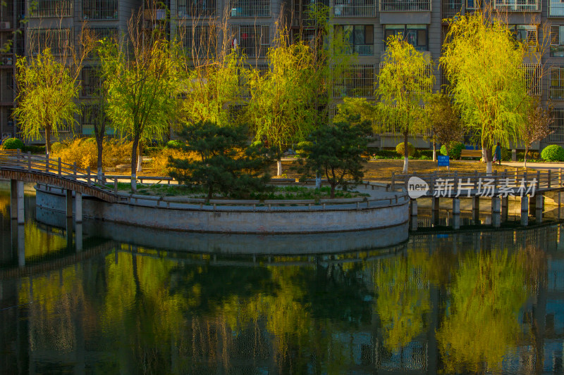 小区湖边树木倒影景观