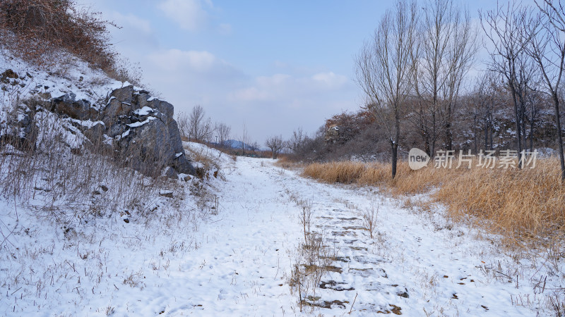 公园山谷小路雪景