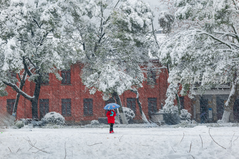 湖南大学雪景