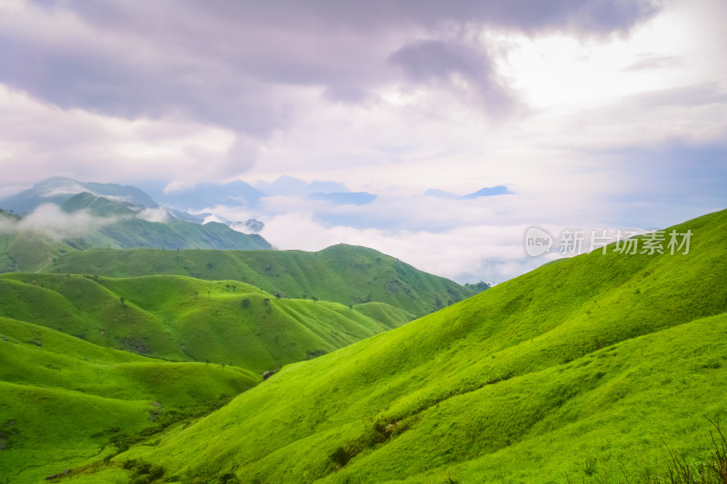 夏天江西武功山的高山草甸