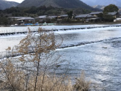 水边干枯植物旁的村庄与远山