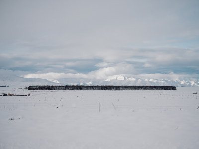 蒂卡波湖农场雪景