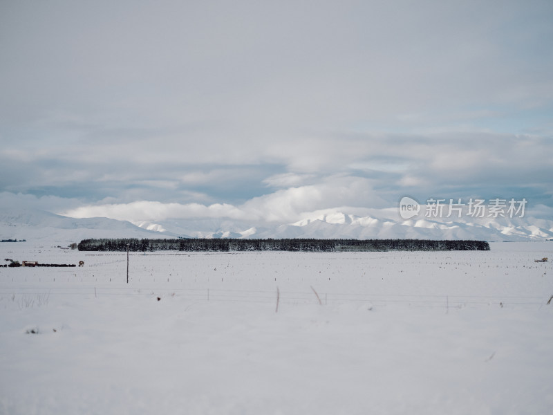 蒂卡波湖农场雪景