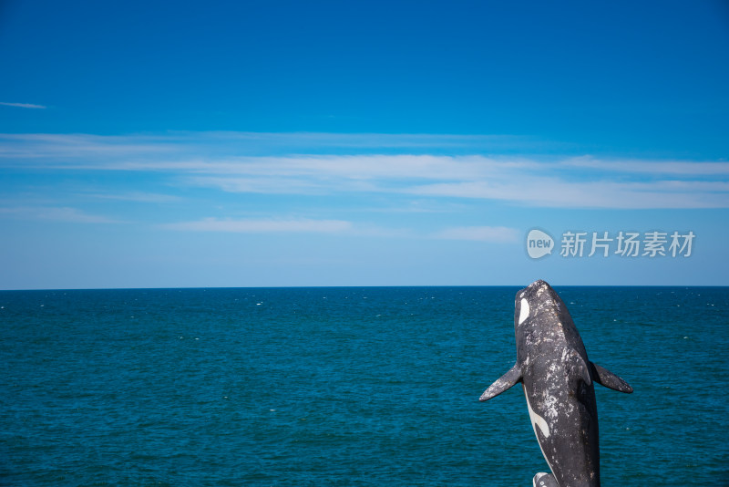 大海天空蓝天白云背景图