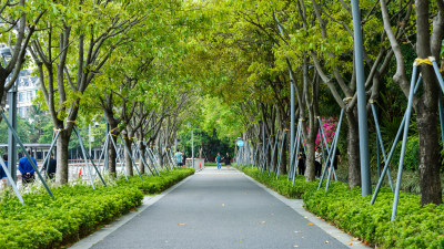 深圳蛇口海滨绿道春天色彩