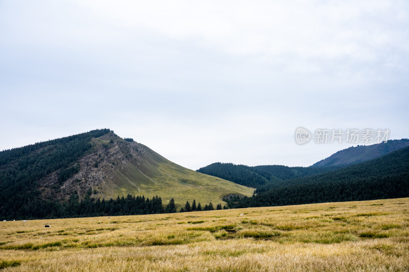 武威冰沟河景区