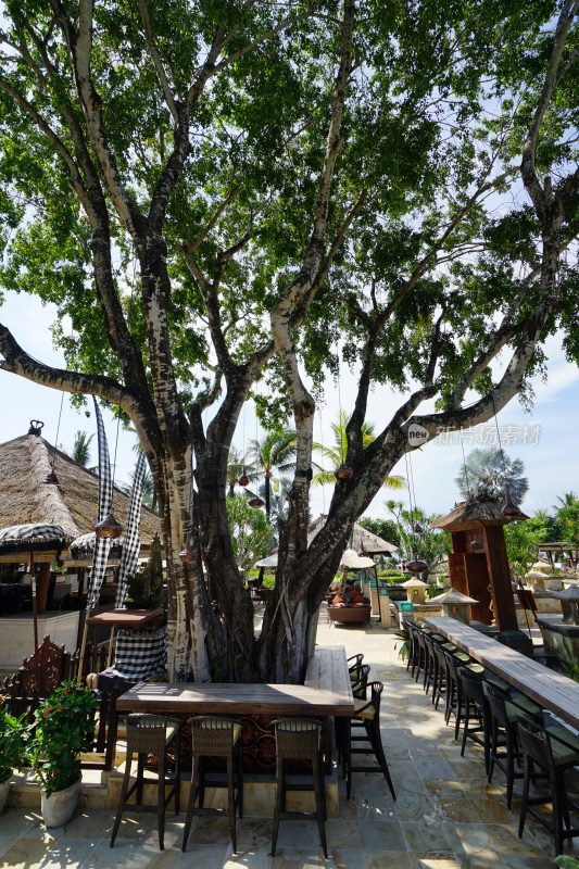 巴厘岛，户外树下休闲餐饮区域