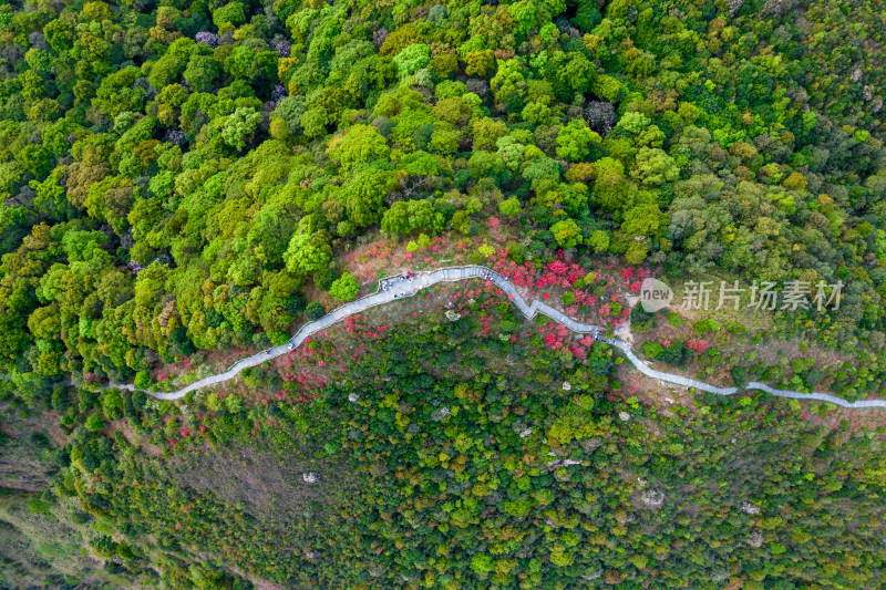 深圳梧桐山