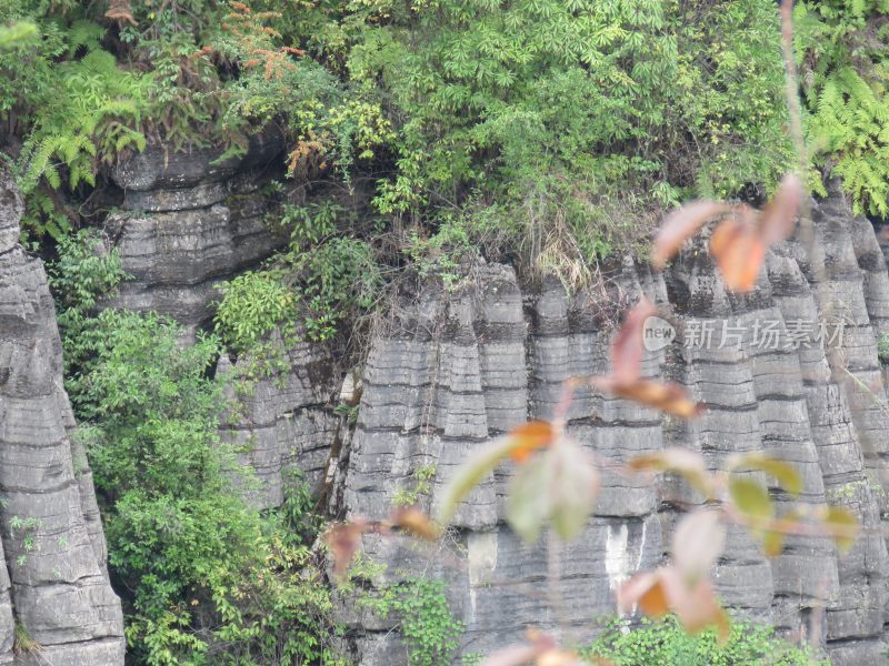 湖北恩施梭布垭石林旅游风光