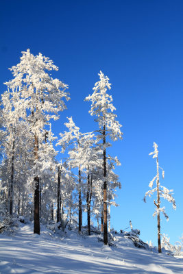 大兴安岭冬季林海雪原冰雪风光
