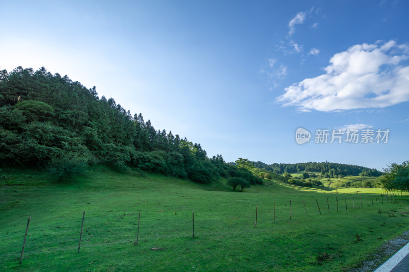 重庆市武隆区仙女山国家森林公园