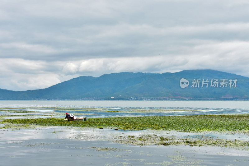 大理洱海