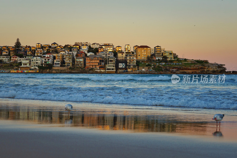 悉尼邦迪沙滩，bondi beach，日落与倒影